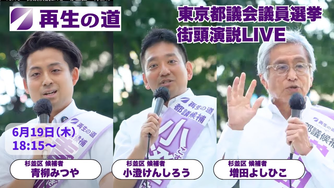 Road to Regeneration: Tokyo Metropolitan Assembly Election
