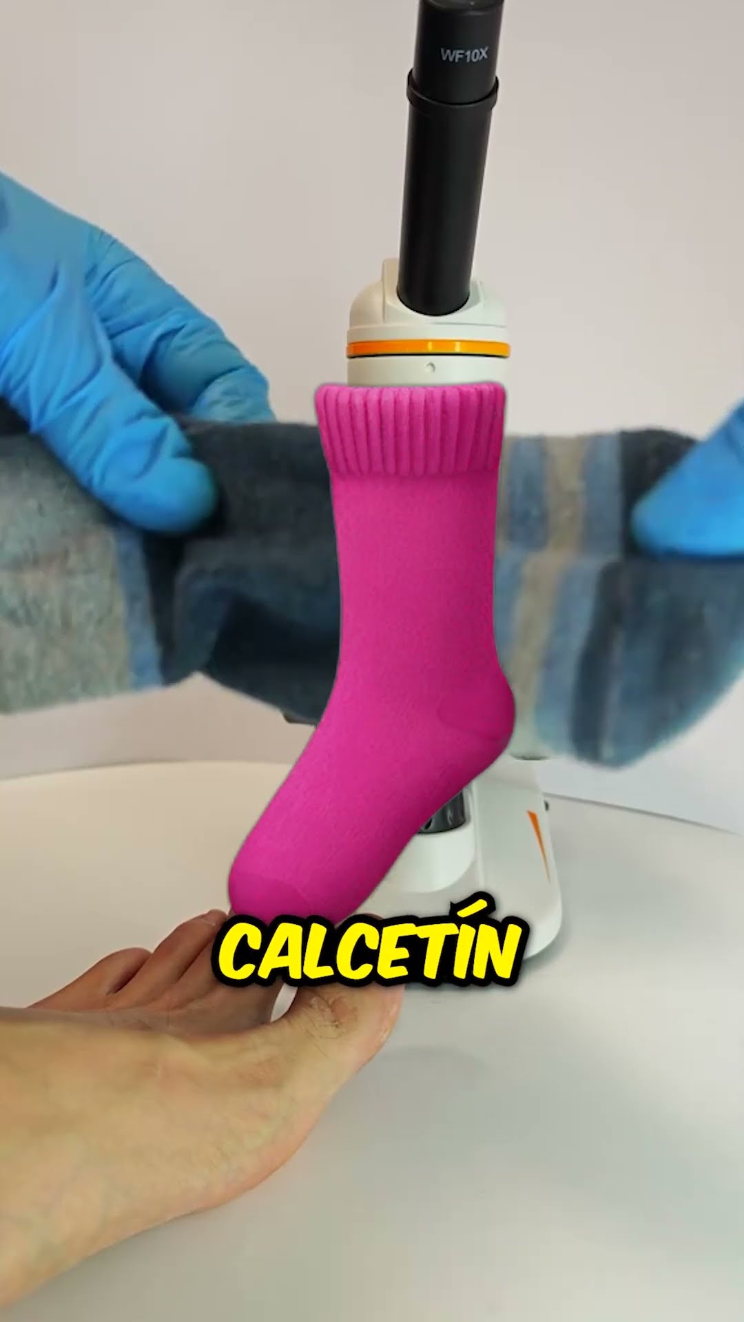 ¡Cómo se ve un calcetín sucio bajo el microscopio! ??