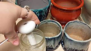 Mini Donut Humidifier (From Amazon) First Thoughts/ Holiday Plants, Pots, & A Mini Humidifier