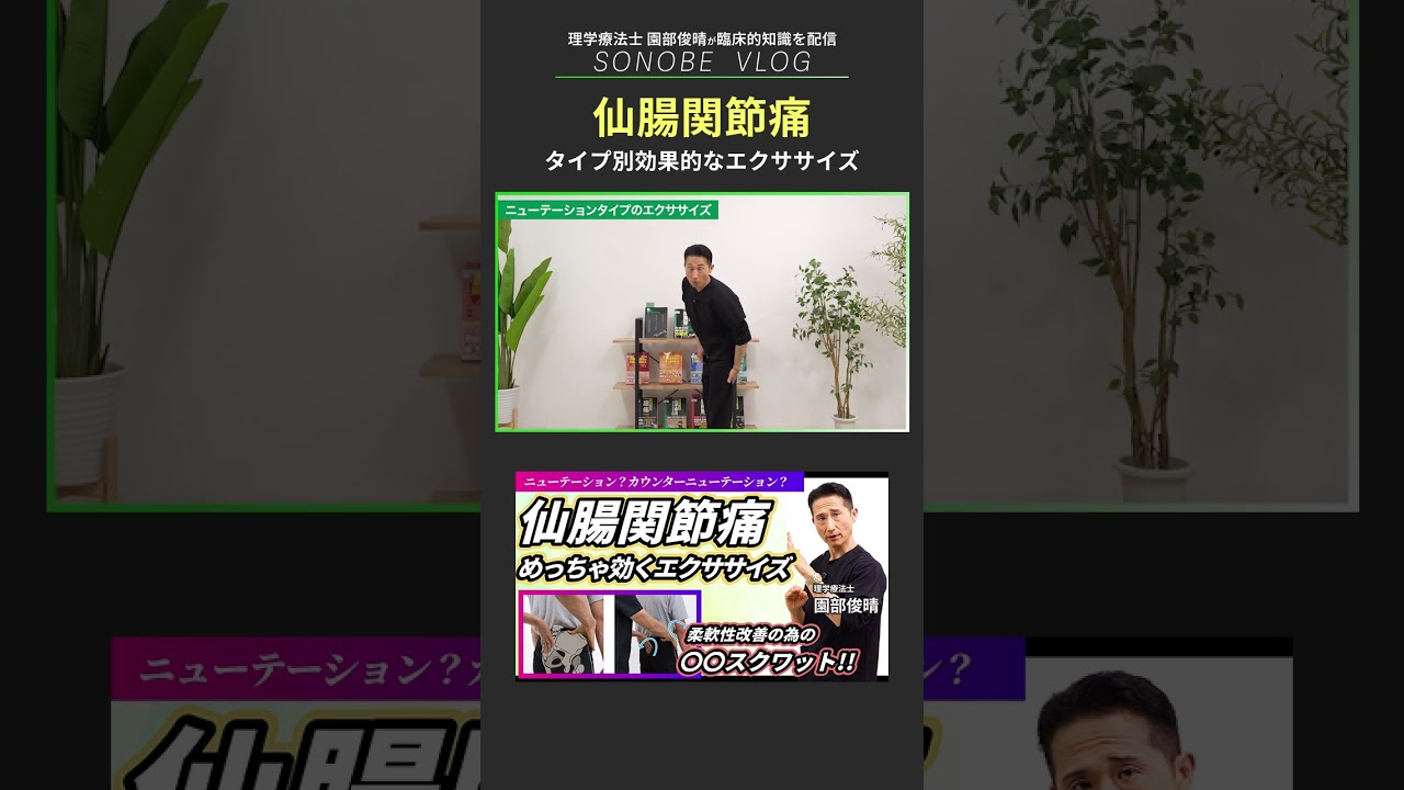 仙腸関節痛に対する効果的なタイプ別エクササイズ #仙腸関節痛 #腰背部痛 #園部俊晴