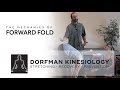 The proper mechanics of forward fold by brian dorfman