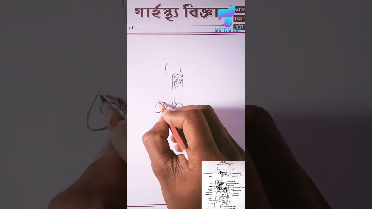 Home science practical!| 