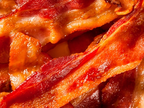 Bacon Beagle Live Stream