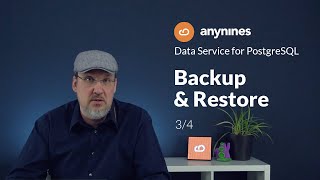 How to set up a PostgreSQL Data Service Instance (with anynines) | Part 3 Backup and Restore