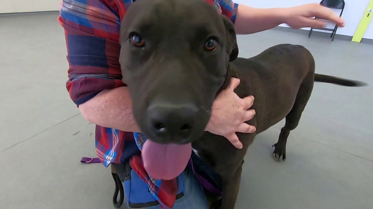 santas Jefferson A134003