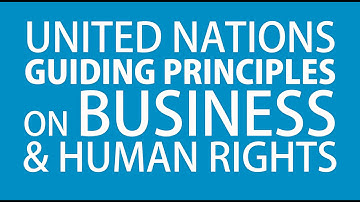 The UN Guiding Principles on Business and Human Rights: An Introduction