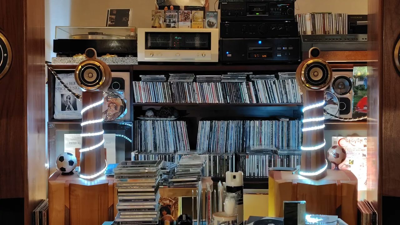 工芸スーパースワン（FE88sol）井筒香奈江