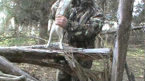 Gutting Rabbit without useing a knife