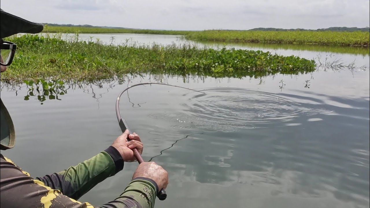Pescaria no Rio Tietê,nesse rio tem peixe demais