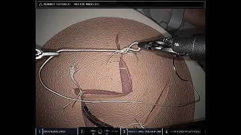 Creating a Slip knot Using the DaVinci Surgical System