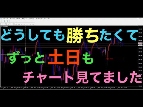 【FX初心者】FXでどうしても勝ちたくて、土日もずっとチャート見てました！！