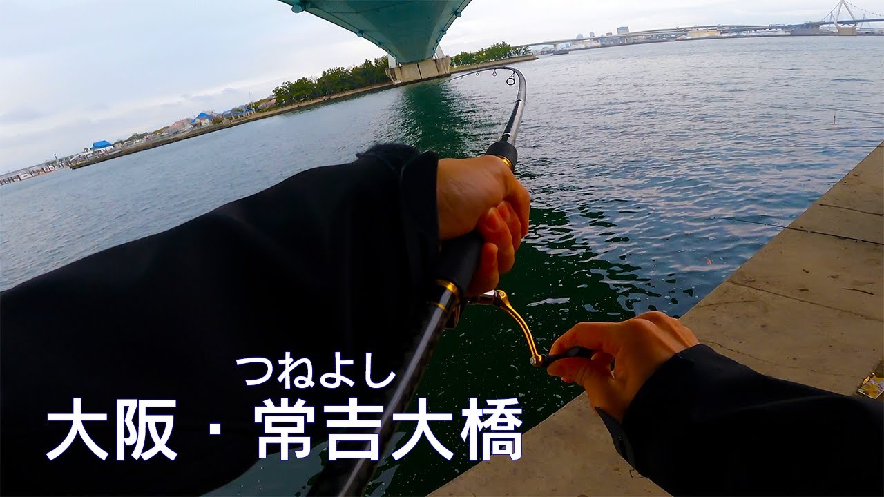 釣り場動画 85 大都会のど真ん中にあるシーバスの巣窟 大阪の常吉大橋下は釣りに開放された楽しいポイント Youtube 釣り場動画 85 大都会のど真ん中にあるシーバスの巣窟 大阪の常吉大橋下は釣りに開放された楽しいポイント Youtube