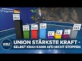 EUROPAWAHL-PROGNOSE: Schockierende Ergebnisse - AfD überholt Grüne und SPD