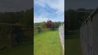 Visite De Lélevage Geert Verhoeven En Belgique Avec La Fine Équipe