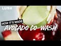 Lush How It's Made: Avocado Co-Wash