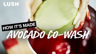 Lush How It's Made: Avocado Co-Wash screenshot 5