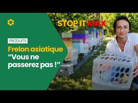 STOP IT MAX : la solution anti-frelon pour protéger vos ruches - interview avec Frédérique RIPET
