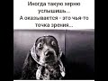 Шедевральные цитаты Косметических Королей о налогах и Бизнесе: Уходить или оставаться?