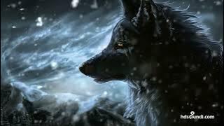 Most Epic Music Ever: 