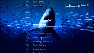 Shark Attack