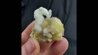 Video preview: Swan-Shaped Two-Tone Yellow-White Aragonite — Guizhou, China | Natural Mineral Specimen