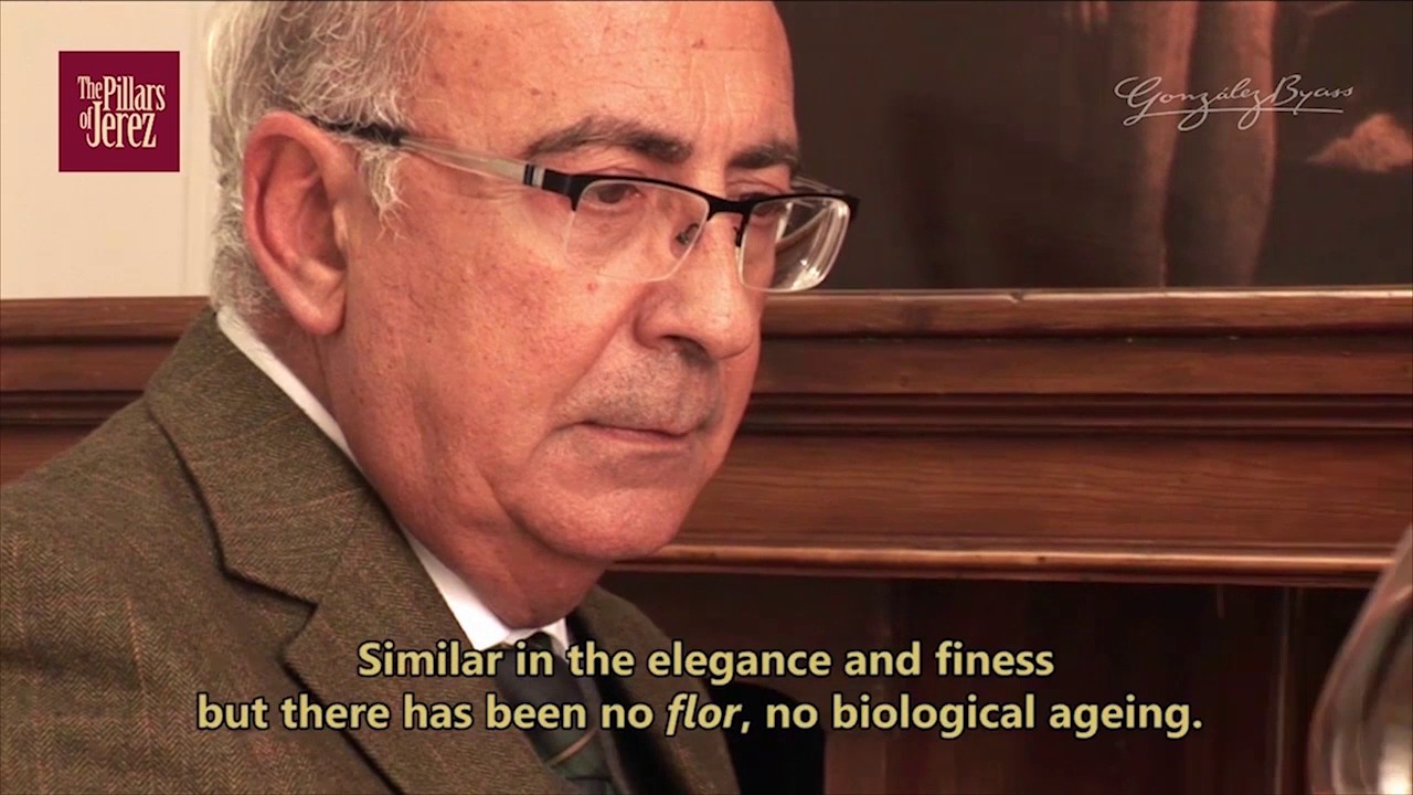 The Pillars of Jerez by González Byass - 9: Leonor