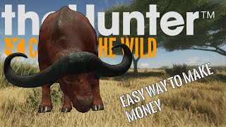 Hunting Cape buffalo and red deer white being Hunted the Hunter : Call of the wild