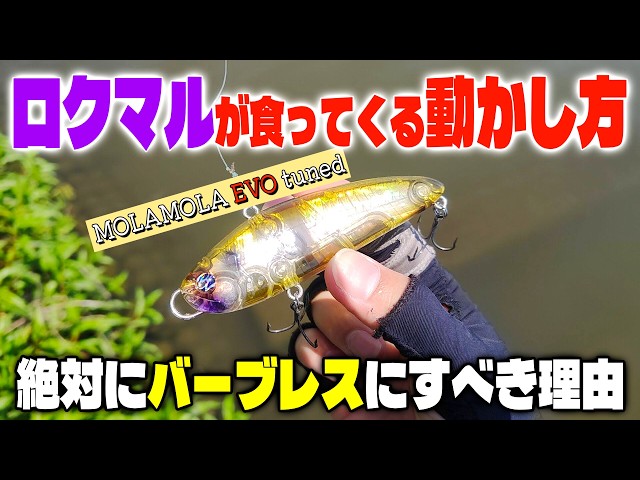 A miracle happened while I was reviewing the Mola Mola EVO tuned