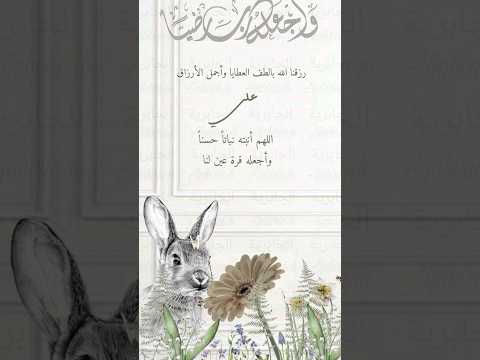 بشارة مولود بإسم علي 