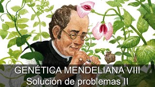 Genética mendeliana 08: Solución de problemas II