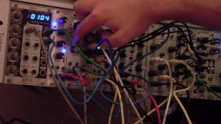 Analog Four + Modular Workout