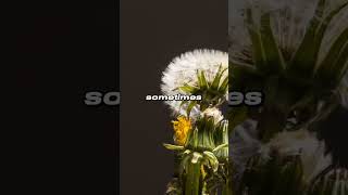 IN THE END, IT’S ALL FOR THE BEST