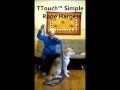 Tellington TTouch™ Simple Rope Dog Harness