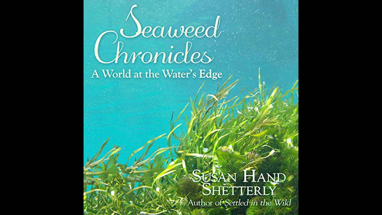 Seaweed Chronicles: A World at the Water’s Edge by Susan Hand Shetterly | Full Audiobook