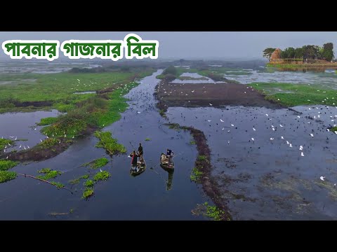 ভিডিও: বিল কাউলিটজ: সৃজনশীল যাত্রা