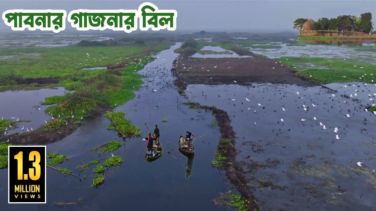 জীবন জীবিকার যোগানদার পাবনার গাজনার বিল || Source of Livelihood 