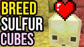 How To BREED SULFUR CUBES In Minecraft - Sulfur Cube Duplication Tutorial!