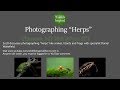 Photographing Reptiles (The Herp Show)