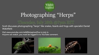 Photographing Reptiles (The Herp Show)