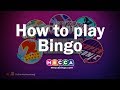 Play Free bingo games online