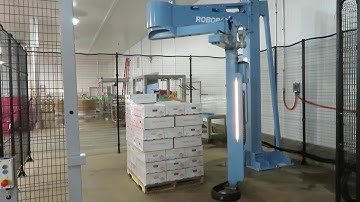Rotary 708 semi automatic stretch wrapper with Category 3 safety fencing at chicken plant - Robopac