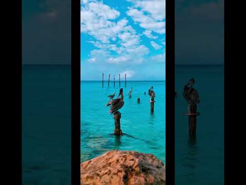      إلياس الرحباني موسيقى ممر العشاق