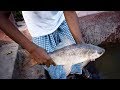 Village Fishing With Hook| Best Hook Fishing Videos| Fishing By Hook fish hunting by hook (Part -2)