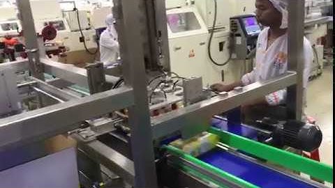 TEFUDE Robot  for carton packaging