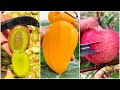 😍Farm Fresh Ninja Fruit | Tik Tok China | (Oddly Satisfying Fruit Ninja) #5