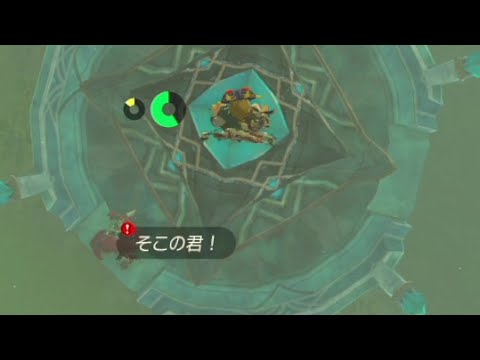 依頼を受けて、シド王子が橋の上で待っている時に上空から近づいてみた