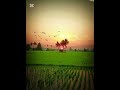আল্লাহ তায়ালা  সূরা আর রহমান পাঠ করবেন!!!🥰💖