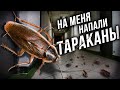 УЖАСНАЯ ЗАБРОШЕННАЯ УКРАИНСКАЯ ОБЩАГА. НА МЕНЯ НАПАЛИ ТАРАКАНЫ! Заброшенный завод времен СССР снесли