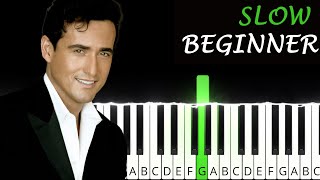 Amazing Grace | John Newton | SLOW BEGINNER PIANO TUTORIAL + SHEET MUSIC by Andantino [4K]