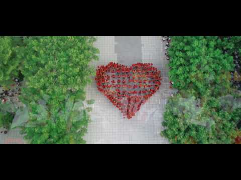 Video Trường Tiểu Học Lý Tự Trọng - Vũng Tàu | Lễ Tổng Kết... - YouTube